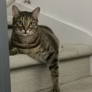 Meet your Posher, Camille